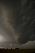 Bilder_USA_2009 069.jpg